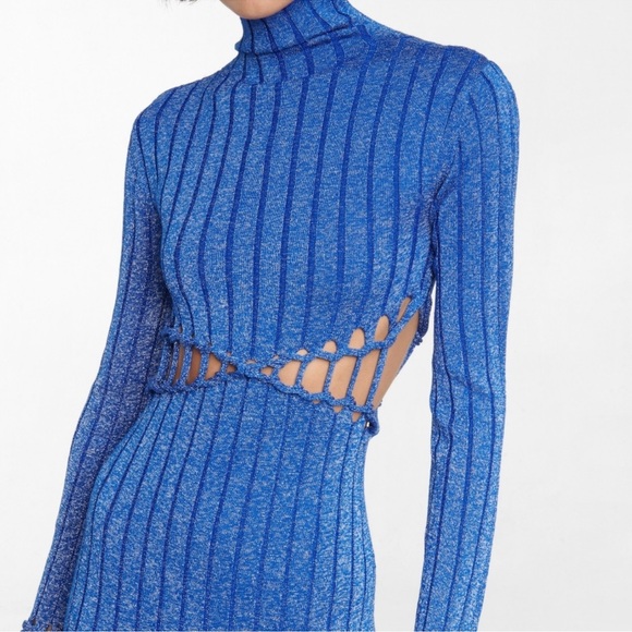 Dion Lee Midi Dress - Picture 3 of 5